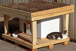 Zu Sehen ist die Naporo Katzenvilla aus Holz mit Dachbegrünung und Terasse