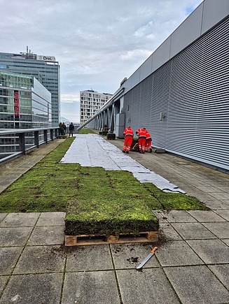 Techgate Begrünung