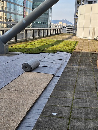 Verlegung dachbegrünung