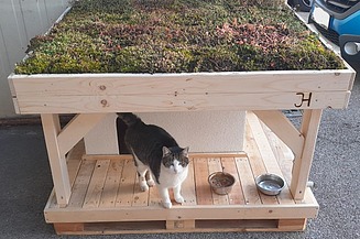 Zu Sehen ist die Naporo Katzenvilla aus Holz mit Dachbegrünung und Terasse