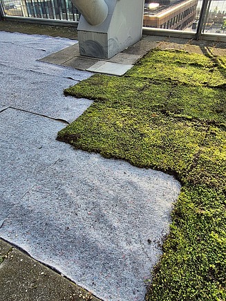 TechGate Dachbegrünung Verlegung