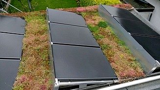 Dachbegrünung 7 Bild zeigt Photovolatikanlage auf Dachbegrünung