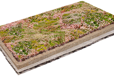 Substratplatte mit Begrünung von Sedum Soden drauf 