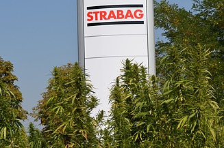 Dieses Bild zeigt eine Pylone mit dem STRABAG Logo und Hanf davor