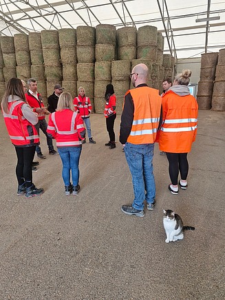 Führung und Hauskatze Thommy bewacht die Gruppe